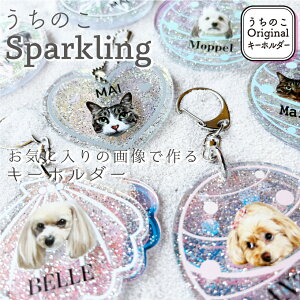 yTtz ̂ IWi Xp[NO L[z_[ I[   L ybg  L   T ʐ^ 쐬  ̎q ObY  킢 AN IW