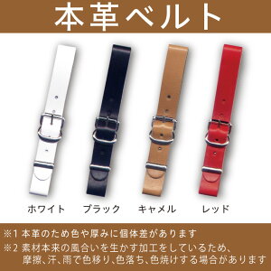 y{vxg Pizv[g{͕̂tĂ܂Bl[v[gp~jxg