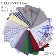 CALIENTE リトアニア リネン 選べる 亜麻 100％ キッチン タオル