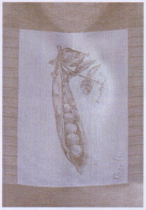 coucke Lb` l NX  ^I pe[ ǂ