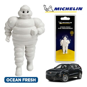 �y�労�ӍՁ��G���g���[��P10�{�I�z�yMICHELIN ���K�i�z�F���� �G�A�t���b�V���i�[ �t���O�����X �I�[�V�����t���b�V�� ���t���ȒP �J�[�p�i �~�V�������}�� �r�o���_�� �}�X�R�b�g �~�V��