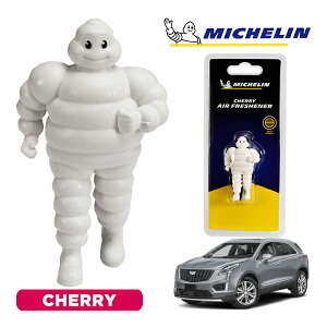 �y�労�ӍՁ��G���g���[��P10�{�I�z�yMICHELIN ���K�i�z�F���� �G�A�t���b�V���i�[ �t���O�����X �`�F���[ ���t���ȒP �J�[�p�i �~�V�������}�� �r�o���_�� �}�X�R�b�g �~�V������ �L���f��
