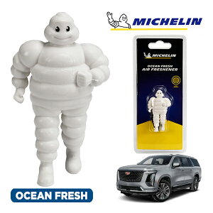 �y�労�ӍՁ��G���g���[��P10�{�I�z�yMICHELIN ���K�i�z�F���� �G�A�t���b�V���i�[ �t���O�����X �I�[�V�����t���b�V�� ���t���ȒP �J�[�p�i �~�V�������}�� �r�o���_�� �}�X�R�b�g �~�V��