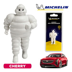 yMICHELIN KizF GAtbVi[ tOX `F[ tȒP J[pi ~V} ro_ }XRbg ~V LfbN CT5