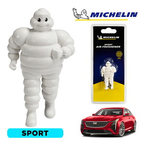 �y�労�ӍՁ��G���g���[��P10�{�I�z�yMICHELIN ���K�i�z�F���� �G�A�t���b�V���i�[ �t���O�����X �X�|�[�c ���t���ȒP �J�[�p�i �~�V�������}�� �r�o���_�� �}�X�R�b�g �~�V������ �L���f��