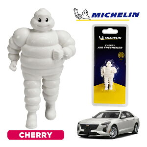 yMICHELIN KizF GAtbVi[ tOX `F[ tȒP J[pi ~V} ro_ }XRbg ~V LfbN CT6