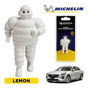 yMICHELIN KizF GAtbVi[ tOX  tȒP J[pi ~V} ro_ }XRbg ~V LfbN CT6