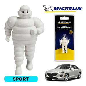 �y�労�ӍՁ��G���g���[��P10�{�I�z�yMICHELIN ���K�i�z�F���� �G�A�t���b�V���i�[ �t���O�����X �X�|�[�c ���t���ȒP �J�[�p�i �~�V�������}�� �r�o���_�� �}�X�R�b�g �~�V������ �L���f��
