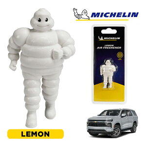 �y�労�ӍՁ��G���g���[��P10�{�I�z�yMICHELIN ���K�i�z�F���� �G�A�t���b�V���i�[ �t���O�����X ������ ���t���ȒP �J�[�p�i �~�V�������}�� �r�o���_�� �}�X�R�b�g �~�V������ �V�{���[ 