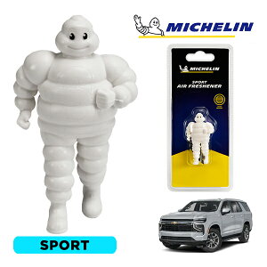 �y�労�ӍՁ��G���g���[��P10�{�I�z�yMICHELIN ���K�i�z�F���� �G�A�t���b�V���i�[ �t���O�����X �X�|�[�c ���t���ȒP �J�[�p�i �~�V�������}�� �r�o���_�� �}�X�R�b�g �~�V������ �V�{���[
