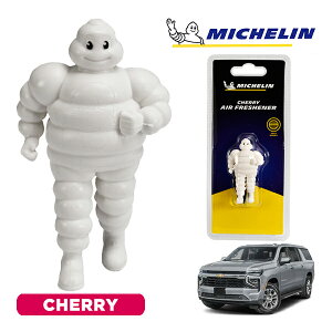 �y�労�ӍՁ��G���g���[��P10�{�I�z�yMICHELIN ���K�i�z�F���� �G�A�t���b�V���i�[ �t���O�����X �`�F���[ ���t���ȒP �J�[�p�i �~�V�������}�� �r�o���_�� �}�X�R�b�g �~�V������ �V�{���[