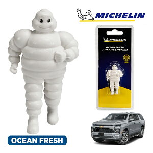 �y�労�ӍՁ��G���g���[��P10�{�I�z�yMICHELIN ���K�i�z�F���� �G�A�t���b�V���i�[ �t���O�����X �I�[�V�����t���b�V�� ���t���ȒP �J�[�p�i �~�V�������}�� �r�o���_�� �}�X�R�b�g �~�V��