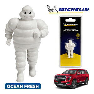 �y�労�ӍՁ��G���g���[��P10�{�I�z�yMICHELIN ���K�i�z�F���� �G�A�t���b�V���i�[ �t���O�����X �I�[�V�����t���b�V�� ���t���ȒP �J�[�p�i �~�V�������}�� �r�o���_�� �}�X�R�b�g �~�V��
