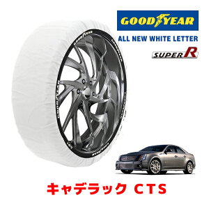 yGOODYEAR KizObhC[ Xm[\bNX z ^C`F[ SUPER R / XLTCY LfbN CTS-V / ABA-X322V ^CTCYF 255/40R19 19C`p