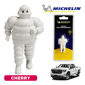 �y�労�ӍՁ��G���g���[��P10�{�I�z�yMICHELIN ���K�i�z�F���� �G�A�t���b�V���i�[ �t���O�����X �`�F���[ ���t���ȒP �J�[�p�i �~�V�������}�� �r�o���_�� �}�X�R�b�g �~�V������ �V�{���[