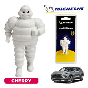 �y�労�ӍՁ��G���g���[��P10�{�I�z�yMICHELIN ���K�i�z�F���� �G�A�t���b�V���i�[ �t���O�����X �`�F���[ ���t���ȒP �J�[�p�i �~�V�������}�� �r�o���_�� �}�X�R�b�g �~�V������ �V�{���[