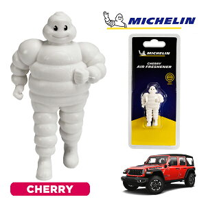�y�労�ӍՁ��G���g���[��P10�{�I�z�yMICHELIN ���K�i�z�F���� �G�A�t���b�V���i�[ �t���O�����X �`�F���[ ���t���ȒP �J�[�p�i �~�V�������}�� �r�o���_�� �}�X�R�b�g �~�V������ �W�[�v TJ