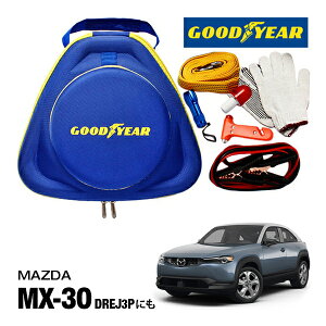 GOODYEAR ObhC[ [hTChG}[WFV[Lbg ԋً}Lbg  ԍ 펞  ̏ ~ u[X^[P[u obe[P[u 12V 24V Ή 250A 2.5m obe[