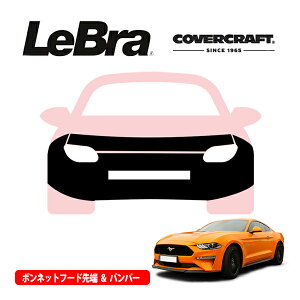 yCoverCraft/LeBra Kizp݌v m[Yu t^Cv tu tgGhJo[ t[hJo[ tgJo[ tg}XN  ѐ ΍ 18-20y tH[h }X^O GT pt