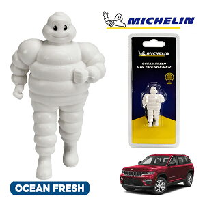 �y�労�ӍՁ��G���g���[��P10�{�I�z�yMICHELIN ���K�i�z�F���� �G�A�t���b�V���i�[ �t���O�����X �I�[�V�����t���b�V�� ���t���ȒP �J�[�p�i �~�V�������}�� �r�o���_�� �}�X�R�b�g �~�V��