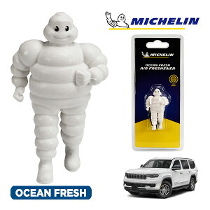 �y�労�ӍՁ��G���g���[��P10�{�I�z�yMICHELIN ���K�i�z�F���� �G�A�t���b�V���i�[ �t���O�����X �I�[�V�����t���b�V�� ���t���ȒP �J�[�p�i �~�V�������}�� �r�o���_�� �}�X�R�b�g �~�V��