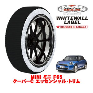 yyV}\Gg[P10{IzJtHjAJX^ Xm[\bNX z  ^C`F[ WHITEWALL LABEL MTCY 195/55R16 16C` MINI ~j F65 N[p[C GbZV