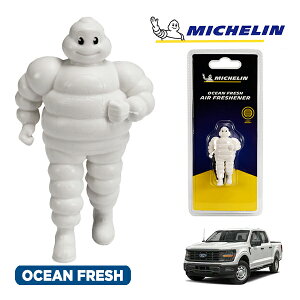 �y�労�ӍՁ��G���g���[��P10�{�I�z�yMICHELIN ���K�i�z�F���� �G�A�t���b�V���i�[ �t���O�����X �I�[�V�����t���b�V�� ���t���ȒP �J�[�p�i �~�V�������}�� �r�o���_�� �}�X�R�b�g �~�V��