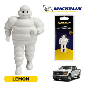 �y�労�ӍՁ��G���g���[��P10�{�I�z�yMICHELIN ���K�i�z�F���� �G�A�t���b�V���i�[ �t���O�����X ������ ���t���ȒP �J�[�p�i �~�V�������}�� �r�o���_�� �}�X�R�b�g �~�V������ �t�H�[�h F-