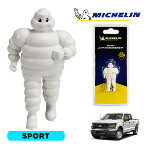 �y�労�ӍՁ��G���g���[��P10�{�I�z�yMICHELIN ���K�i�z�F���� �G�A�t���b�V���i�[ �t���O�����X �X�|�[�c ���t���ȒP �J�[�p�i �~�V�������}�� �r�o���_�� �}�X�R�b�g �~�V������ �t�H�[�h