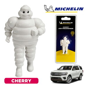 �y�労�ӍՁ��G���g���[��P10�{�I�z�yMICHELIN ���K�i�z�F���� �G�A�t���b�V���i�[ �t���O�����X �`�F���[ ���t���ȒP �J�[�p�i �~�V�������}�� �r�o���_�� �}�X�R�b�g �~�V������ �t�H�[�h