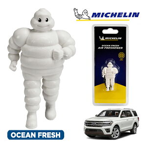 �y�労�ӍՁ��G���g���[��P10�{�I�z�yMICHELIN ���K�i�z�F���� �G�A�t���b�V���i�[ �t���O�����X �I�[�V�����t���b�V�� ���t���ȒP �J�[�p�i �~�V�������}�� �r�o���_�� �}�X�R�b�g �~�V��