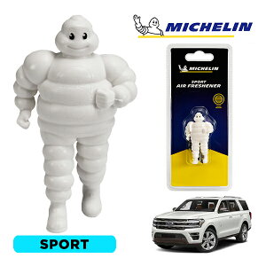 �y�労�ӍՁ��G���g���[��P10�{�I�z�yMICHELIN ���K�i�z�F���� �G�A�t���b�V���i�[ �t���O�����X �X�|�[�c ���t���ȒP �J�[�p�i �~�V�������}�� �r�o���_�� �}�X�R�b�g �~�V������ �t�H�[�h