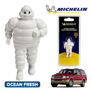 �y�労�ӍՁ��G���g���[��P10�{�I�z�yMICHELIN ���K�i�z�F���� �G�A�t���b�V���i�[ �t���O�����X �I�[�V�����t���b�V�� ���t���ȒP �J�[�p�i �~�V�������}�� �r�o���_�� �}�X�R�b�g �~�V��