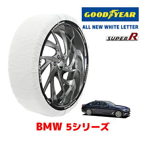 yGOODYEAR KizObhC[ Xm[\bNX z ^C`F[ SUPER R / LTCY BMW 5V[Y M550I / 3BA-JS44 ^CTCYF 245/35R20 20C`p