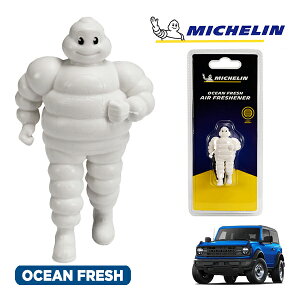�y�労�ӍՁ��G���g���[��P10�{�I�z�yMICHELIN ���K�i�z�F���� �G�A�t���b�V���i�[ �t���O�����X �I�[�V�����t���b�V�� ���t���ȒP �J�[�p�i �~�V�������}�� �r�o���_�� �}�X�R�b�g �~�V��