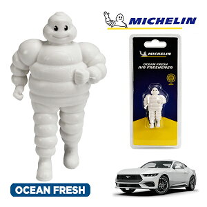 �y�労�ӍՁ��G���g���[��P10�{�I�z�yMICHELIN ���K�i�z�F���� �G�A�t���b�V���i�[ �t���O�����X �I�[�V�����t���b�V�� ���t���ȒP �J�[�p�i �~�V�������}�� �r�o���_�� �}�X�R�b�g �~�V��