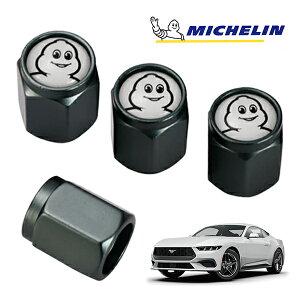 yMICHELIN KizGAouLbv 1䕪 4Zbg K^ tȒP J[pi ~V} ro_ ~VF GA[ou tH[h }X^O