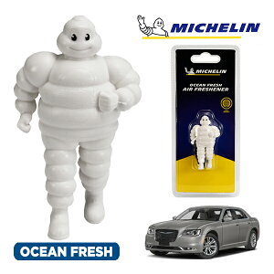 �y�労�ӍՁ��G���g���[��P10�{�I�z�yMICHELIN ���K�i�z�F���� �G�A�t���b�V���i�[ �t���O�����X �I�[�V�����t���b�V�� ���t���ȒP �J�[�p�i �~�V�������}�� �r�o���_�� �}�X�R�b�g �~�V��