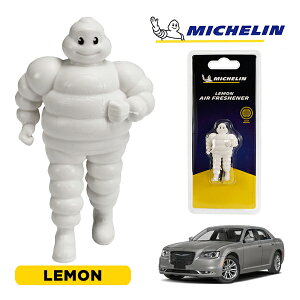 �y�労�ӍՁ��G���g���[��P10�{�I�z�yMICHELIN ���K�i�z�F���� �G�A�t���b�V���i�[ �t���O�����X ������ ���t���ȒP �J�[�p�i �~�V�������}�� �r�o���_�� �}�X�R�b�g �~�V������ �N���C�X��