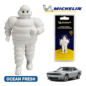 �y�労�ӍՁ��G���g���[��P10�{�I�z�yMICHELIN ���K�i�z�F���� �G�A�t���b�V���i�[ �t���O�����X �I�[�V�����t���b�V�� ���t���ȒP �J�[�p�i �~�V�������}�� �r�o���_�� �}�X�R�b�g �~�V��