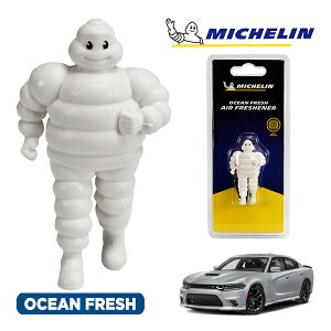 �y�労�ӍՁ��G���g���[��P10�{�I�z�yMICHELIN ���K�i�z�F���� �G�A�t���b�V���i�[ �t���O�����X �I�[�V�����t���b�V�� ���t���ȒP �J�[�p�i �~�V�������}�� �r�o���_�� �}�X�R�b�g �~�V��