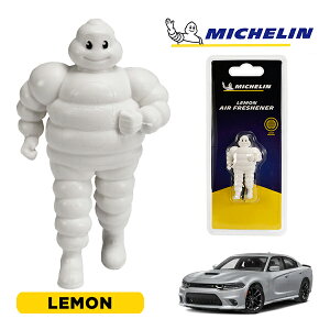 �y�労�ӍՁ��G���g���[��P10�{�I�z�yMICHELIN ���K�i�z�F���� �G�A�t���b�V���i�[ �t���O�����X ������ ���t���ȒP �J�[�p�i �~�V�������}�� �r�o���_�� �}�X�R�b�g �~�V������ �_�b�W �`