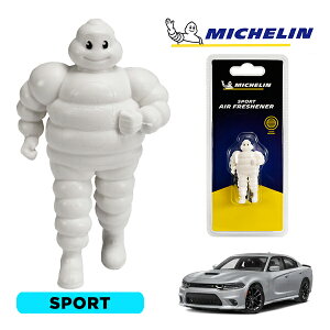 �y�労�ӍՁ��G���g���[��P10�{�I�z�yMICHELIN ���K�i�z�F���� �G�A�t���b�V���i�[ �t���O�����X �X�|�[�c ���t���ȒP �J�[�p�i �~�V�������}�� �r�o���_�� �}�X�R�b�g �~�V������ �_�b�W 