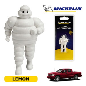 �y�労�ӍՁ��G���g���[��P10�{�I�z�yMICHELIN ���K�i�z�F���� �G�A�t���b�V���i�[ �t���O�����X ������ ���t���ȒP �J�[�p�i �~�V�������}�� �r�o���_�� �}�X�R�b�g �~�V������ �_�b�W �_