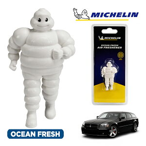 �y�労�ӍՁ��G���g���[��P10�{�I�z�yMICHELIN ���K�i�z�F���� �G�A�t���b�V���i�[ �t���O�����X �I�[�V�����t���b�V�� ���t���ȒP �J�[�p�i �~�V�������}�� �r�o���_�� �}�X�R�b�g �~�V��