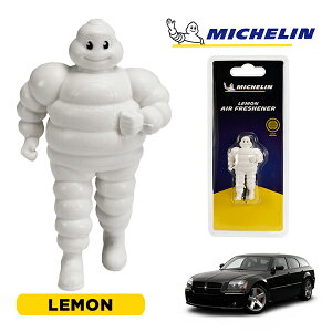�y�労�ӍՁ��G���g���[��P10�{�I�z�yMICHELIN ���K�i�z�F���� �G�A�t���b�V���i�[ �t���O�����X ������ ���t���ȒP �J�[�p�i �~�V�������}�� �r�o���_�� �}�X�R�b�g �~�V������ �_�b�W �}