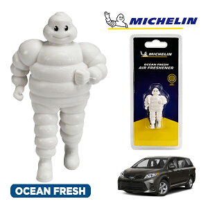 �y�労�ӍՁ��G���g���[��P10�{�I�z�yMICHELIN ���K�i�z�F���� �G�A�t���b�V���i�[ �t���O�����X �I�[�V�����t���b�V�� ���t���ȒP �J�[�p�i �~�V�������}�� �r�o���_�� �}�X�R�b�g �~�V��