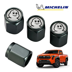 yMICHELIN KizGAouLbv 1䕪 4Zbg K^ tȒP J[pi ~V} ro_ ~VF GA[ou USg^ ^R}