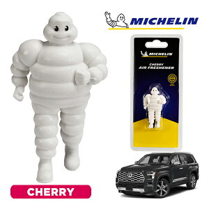 �y�労�ӍՁ��G���g���[��P10�{�I�z�yMICHELIN ���K�i�z�F���� �G�A�t���b�V���i�[ �t���O�����X �`�F���[ ���t���ȒP �J�[�p�i �~�V�������}�� �r�o���_�� �}�X�R�b�g �~�V������ US�g���^ 