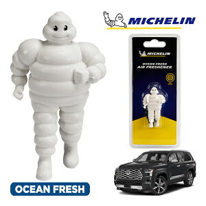 �y�労�ӍՁ��G���g���[��P10�{�I�z�yMICHELIN ���K�i�z�F���� �G�A�t���b�V���i�[ �t���O�����X �I�[�V�����t���b�V�� ���t���ȒP �J�[�p�i �~�V�������}�� �r�o���_�� �}�X�R�b�g �~�V��